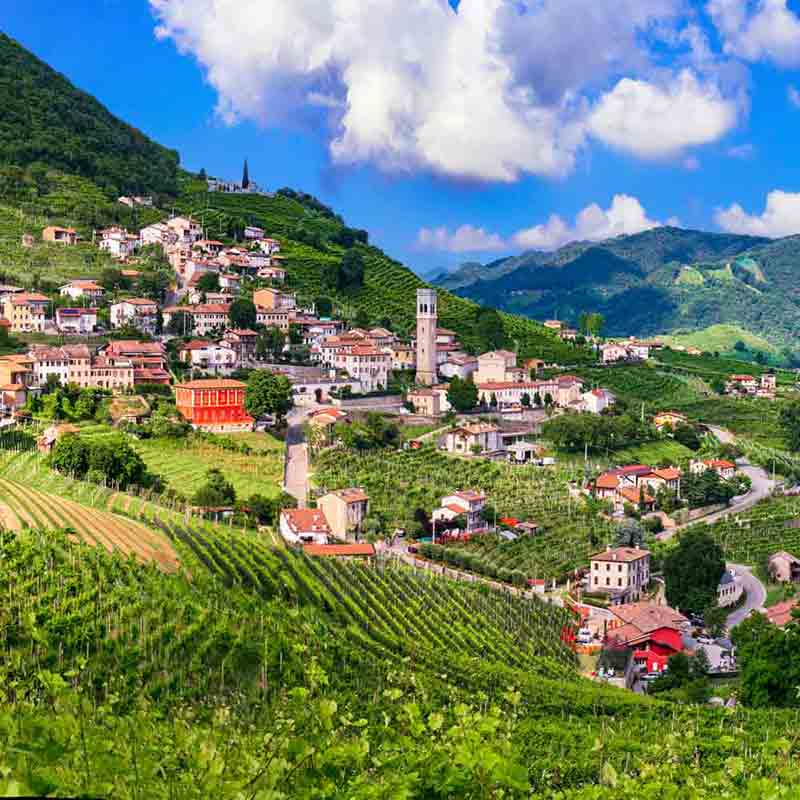 Hügelige Landschaft mit Weinbergen.