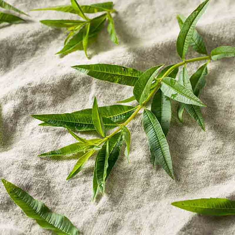 Grüne Blätter auf Leinentuch.