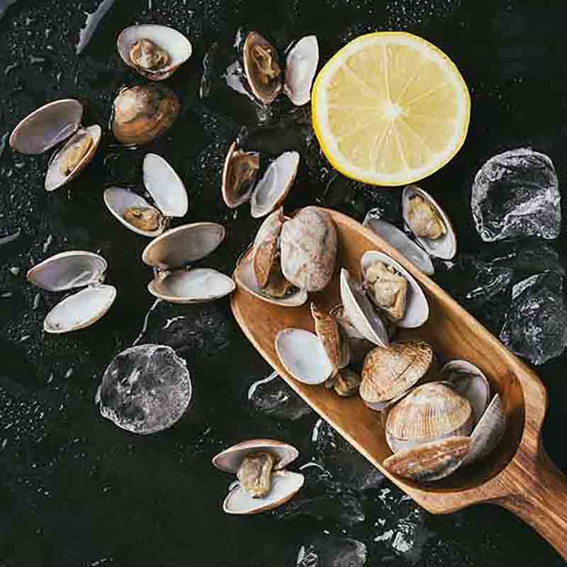 Muscheln, Zitrone, Eiswürfel, Holzlöffel.