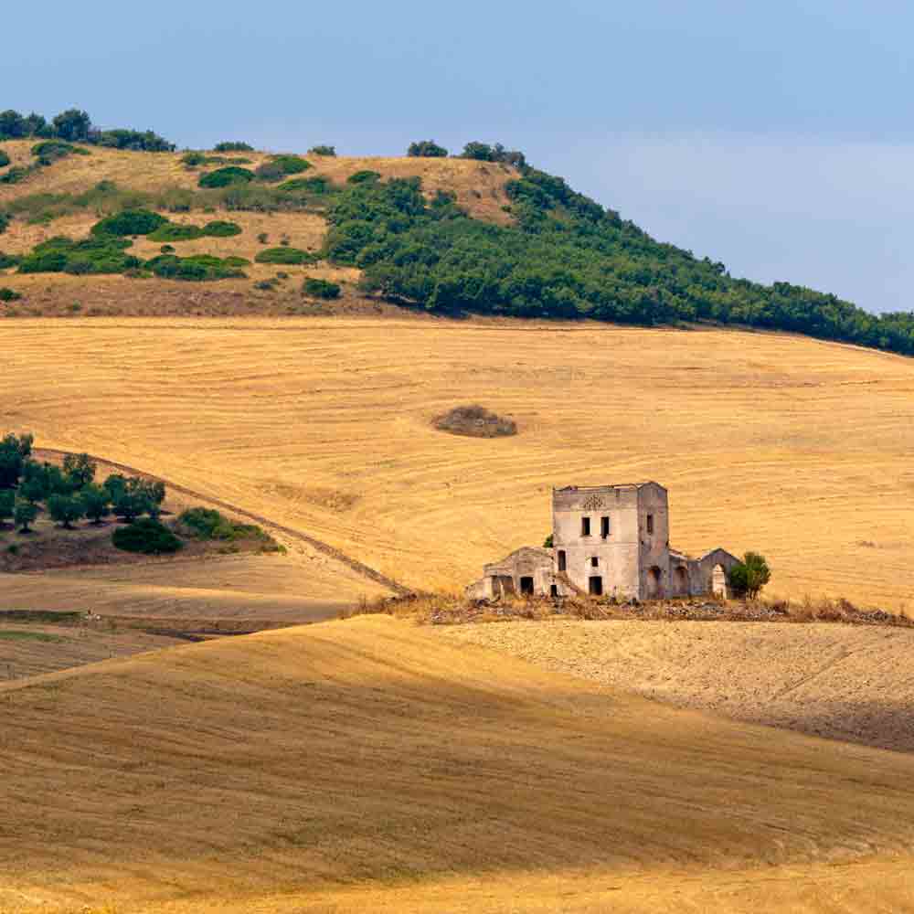 Weizenfeld mit verlassenem Haus in der Basilikata