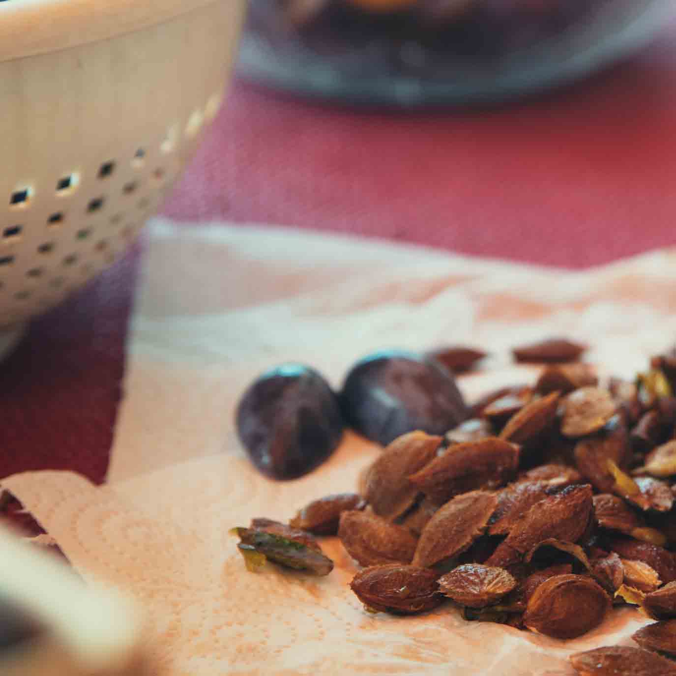 Zwetschkenkerne auf Tisch mit roten Tuch und Schale.